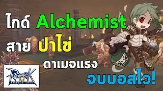 ไกด์ Alchemist สายปาไข่ ดาเมจแรง จบบอสไว! | Ragnarok M Eternal Love (RO M)