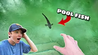 SAVING TRAPPED FISH | SURPRISE FIND