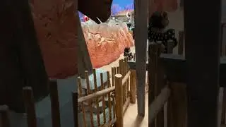 Flying Beast Instagram Story | 29 december 2021| ritu instagram story | Rashu | Abu dabi