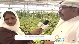 مشتل مطار الملك عبدالعزيز في #جدة
