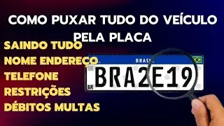 Como puxar tudo do ve&iacute;culo s&oacute; pela placa