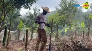 Merci au département de Mayotte ❤️ cœur sur vous ❤️❤️❤️