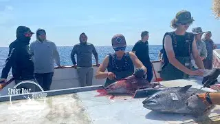 San Diego FISHING REPORT // Sportboat Roundup 07/13/23