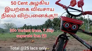 (Sold)Agri Land #105 | 50 Cent அழகிய இயற்கை விவசாய நிலம் விற்பனைக்கு! Organic farm land for sale