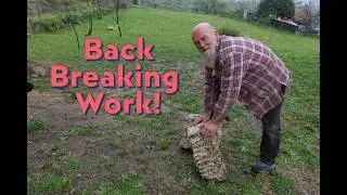Episode 23 - Back Breaking Work - A very busy week on our Portugal Homestead