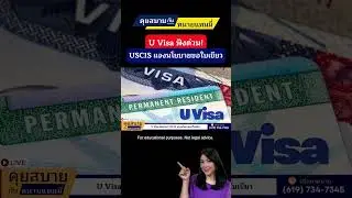 U Visa ฟังด่วน! USCIS แจงนโยบายขอใบเขียว