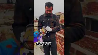 Sarkari ban 😎 #lohri #kite #kiteflying #tube #trending #viral #shorts #short #video #reels