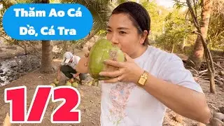 Về Miền Tây Thăm Áo Cà Dồ Cá Tra, Bầu Show Huy Lê, Chị Ni...