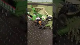 🌽Corn Silage  - Krone BigX Cargo FS22
