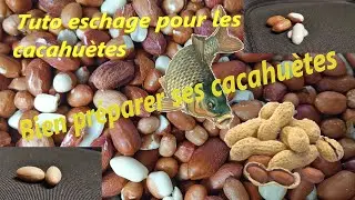 Comment bien préparer ses cacahuètes(arachide) pour la carpe*+ tuto eschage