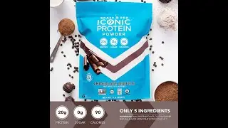 Iconic Protein Powder | Chocolate Truffle | Sugar Free | Low Carb Protein Shake