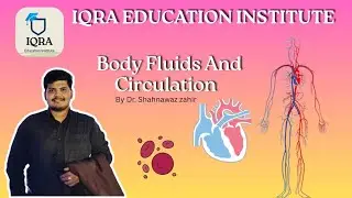 1 Shot 🚀 Body Fluids And Circulation By Dr shahnawaz #neetfoundation #bodyfluidsandcirculation #bydr