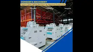 Hongdefa Maize & Wheat Flour Mill Machines | Factory Tour & Milling Solutions