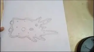 How to draw Structure of Amoeba#biology#viralvideo#learnanewwordtoday