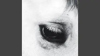 Horse Heaven