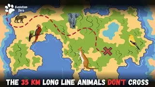 The Invisible line Keeping Two Worlds Apart | why think don't cross | Two Worlds One Planet possible