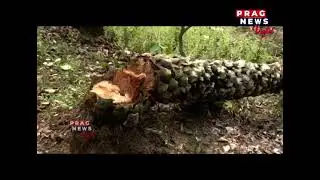 Assam: Heavy storm hits various places across the state