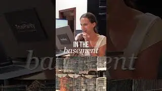 Reddit Real Estate Horror Stories