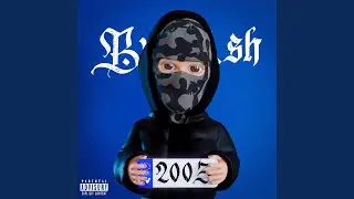 2003