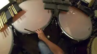 Dave Roth, Percussionist - 