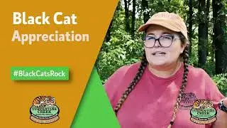 Black Cat Appreciation Day 2024