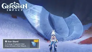 Collect the scattered Star Shards | Genshin Impact