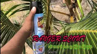 Aromatic coconut farming and pest control