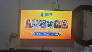 GTV - Noontime Movie Hits Lineup (February 2-7) [31-JAN-2026]