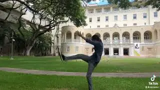 Shaolin Red Fist Xiao Hong Quan +13 Fists of Shaolin Congfu Shi San Quan