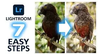 Lightroom Tutorial - EDIT 90% OF YOUR PHOTOS using just 7 STEPS