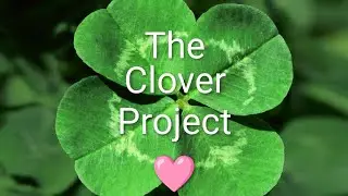 ☘️ The Clover Project ☘️