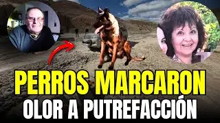 ¡ALERTA TOTAL! OLOR A PUTREFACCIÓN EN LA LADERA DEL CERRO