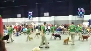 JTDC Drill Clip 2012
