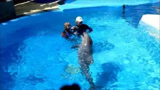 Heal the world - wie Delfine heilen: Delfintherapie für Adrien