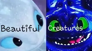 ⚠️MAJOR SPOILER ALERT!!⚠️ Beautiful Creatures