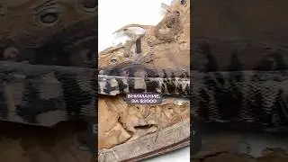 Balenciaga УМЕЕТ удивлять кроссовками #одежда #стиль #мода
