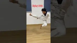 Flying kick #shorts #martialarts #tkd #karate #trending #viralshort #martialarts