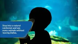 Dallas Summer Kids Activities for Families