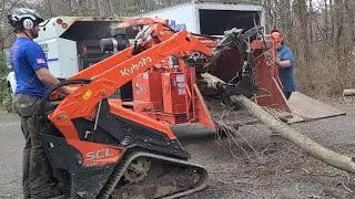 SCL1000 feeding the chipper.