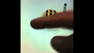 bee bot dessiner mod&egrave;les