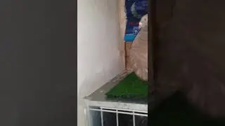 1 d&eacute;cembre 2017