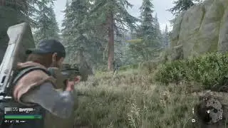 days gone - все орды