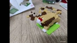 #puzzleblock The Lion