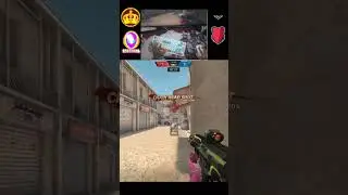 apc auto headshot #pointblank