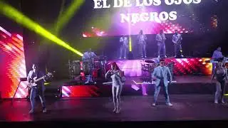 Orquesta Marbella 2024 | Vilouchada   3