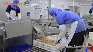 One of the most reliable seafood suppliers---Kingsun Foods