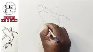 How To Draw a Shark Fish | Easy Shark Fish Drawing | Fish Drawing Step by Step 