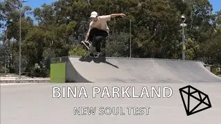 Bina Parkland - Razors Cult one piece souls