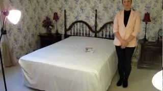 Bed Sized Bed Bug Trap;  U.S. Patent 9220254