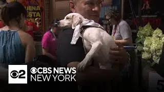 Broadway Barks pet adoption event returns to NYC